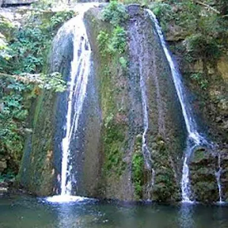 Germany 2* Olympiada