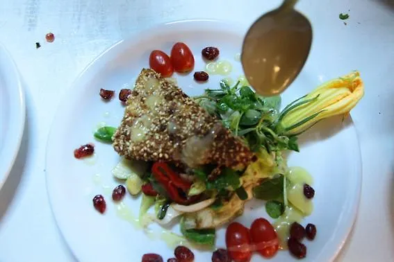 Germany Ολυμπιάδα